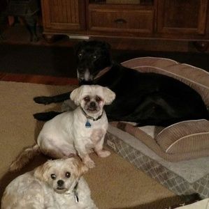 Meet your Posher, Michelle fetterman